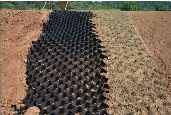 ΢����������